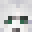 WightTrash Minecraft avatar