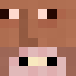Wizoxv Minecraft head
