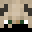 X4yn_e Minecraft avatar