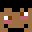 Xavi_Beary