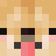 skin gracza