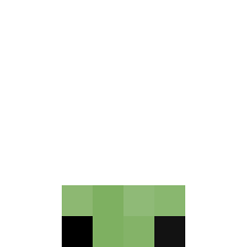 _GSeelemeijer_