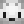 _The_Arctic_Fox_