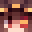 __Xenor