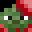_doctor