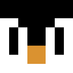 The shop owners Minecraft face