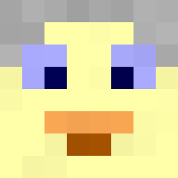 The shop owners Minecraft face