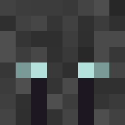 The shop owners Minecraft face