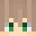 FloPlayer66 Minecraft head