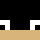blsaa Minecraft head