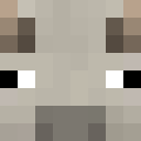 Player head