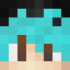 Minecraft players skin
