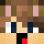 Minecraft players skin