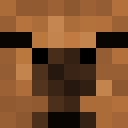TorpedoTurtle20