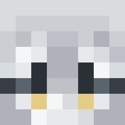 The shop owners Minecraft face