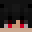 Disguiser2