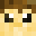 Znln Minecraft head