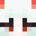 PrinsenAfFv Minecraft-head