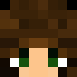 The shop owners Minecraft face