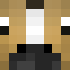 Minecraft avatar for Dream1224