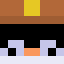 Minecraft players skin