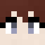 Minecraft players skin