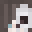 aceNoypi Minecraft avatar