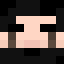 Minecraft players skin