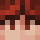 Bdim Minecraft head