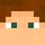 Minecraft players skin