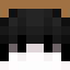 Minecraft players skin