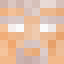 Minecraft players skin