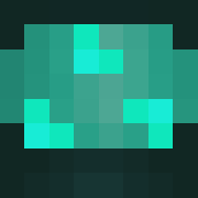 skin gracza