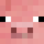 Minecraft players skin