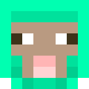 ChromePeto