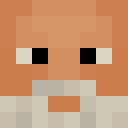 The shop owners Minecraft face