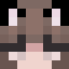 Minecraft players skin