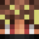 avatar ZzDarkszZ skin