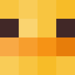 The shop owners Minecraft face