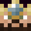 Minecraft players skin