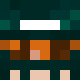 avatar eennvy skin