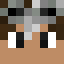 Minecraft players skin