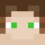 Minecraft players skin