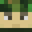 Minecraft players skin