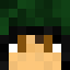 Minecraft players skin