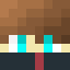 Minecraft players skin