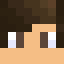 Minecraft players skin
