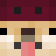 Minecraft avatar for dogem