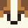 Potch Minecraft head