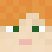ninorc15's Minecraft skin head